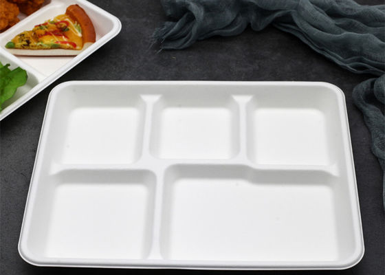 Stoviglie biodegradabili eliminabili della bagassa della scuola 6 5 vassoio del pranzo di 3 compartimenti