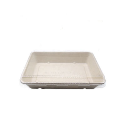 sushi biodegradabili Tray With Pet Lid delle stoviglie della bagassa degli alimenti a rapida preparazione del padellame 11g