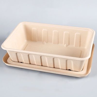 alimenti a rapida preparazione Eco della bagassa di 450ml 550ml dell'insalata biodegradabile naturale delle stoviglie da andare contenitori