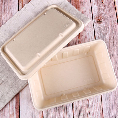 alimenti a rapida preparazione Eco della bagassa di 450ml 550ml dell'insalata biodegradabile naturale delle stoviglie da andare contenitori