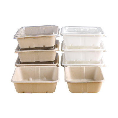 alimenti a rapida preparazione Eco della bagassa di 450ml 550ml dell'insalata biodegradabile naturale delle stoviglie da andare contenitori