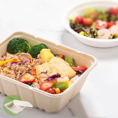 alimenti a rapida preparazione Eco della bagassa di 450ml 550ml dell'insalata biodegradabile naturale delle stoviglie da andare contenitori