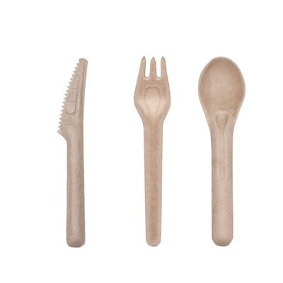 Forchette e cucchiai concimabili eliminabili amichevoli della coltelleria 141.7mm di Eco della bagassa biodegradabile