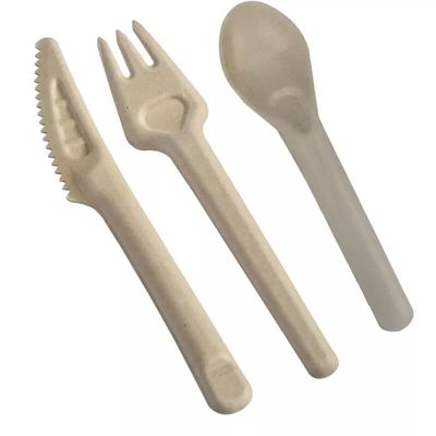 Forchette e cucchiai concimabili eliminabili amichevoli della coltelleria 141.7mm di Eco della bagassa biodegradabile