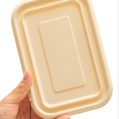 Contenitore d'imballaggio concimabile eliminabile di alimenti a rapida preparazione della scatola di pranzo del pasto dell'amido di mais 500 600ML