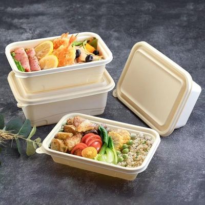 Contenitore d'imballaggio concimabile eliminabile di alimenti a rapida preparazione della scatola di pranzo del pasto dell'amido di mais 500 600ML